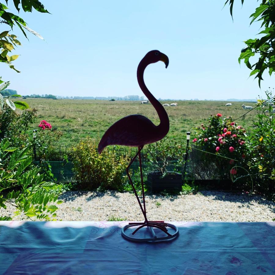 Chalet Bord De Mer 6 Couchages Villa Merville-Franceville-Plage Luaran gambar